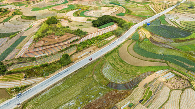 田園田野