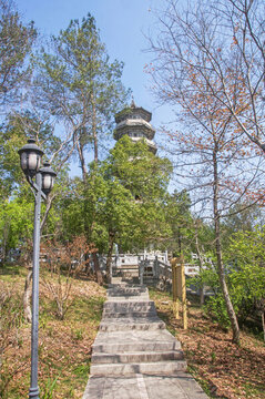 永泰塔山公園景色