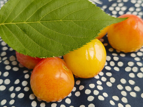 農(nóng)家綠葉鮮櫻桃