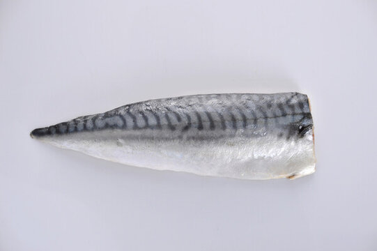 生鮮青魚