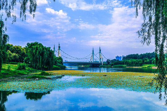 徒駭河美景