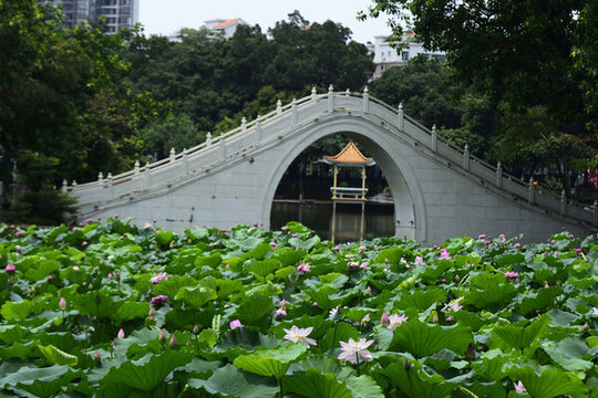 人民公園