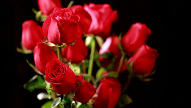 装饰爱情表白红玫瑰花