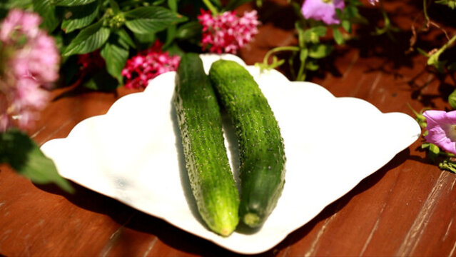 瘦身蔬菜秋黃瓜切黃瓜