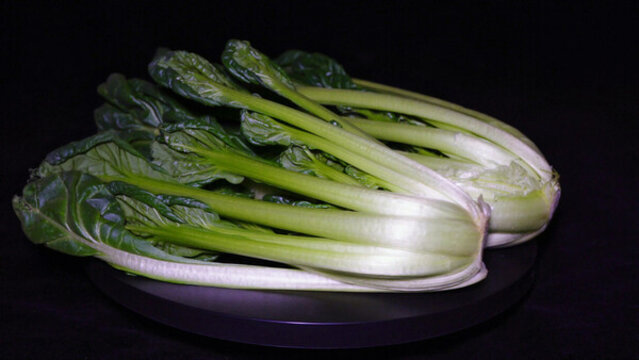 蔬菜菊花菜綠葉菜食材