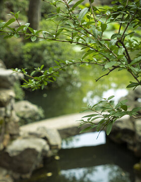 蘇州留園