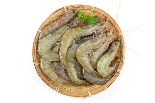 新鮮海白蝦生鮮食材