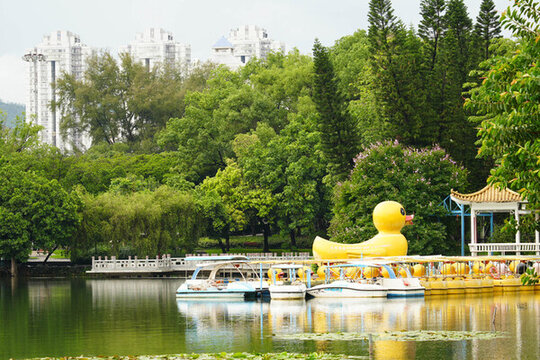 深圳荔枝公園