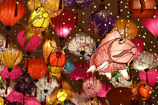 傳統(tǒng)花燈燈展
