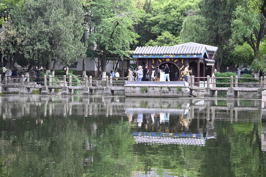總統(tǒng)府古典園林