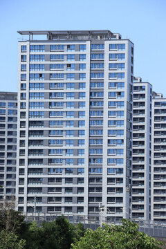 路橋城市建設