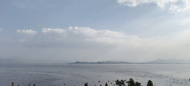 深圳灣公園