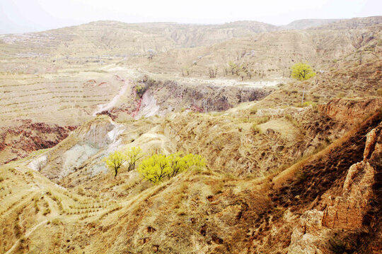 河北陽(yáng)原泥河灣地層