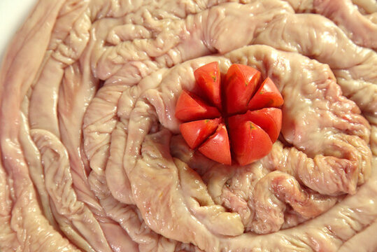 豬大腸