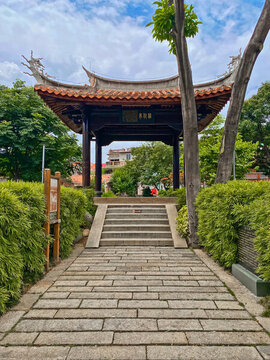 小山叢竹