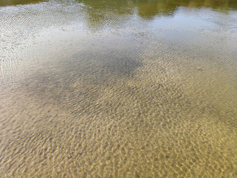 深圳觀瀾河濕地公園河流