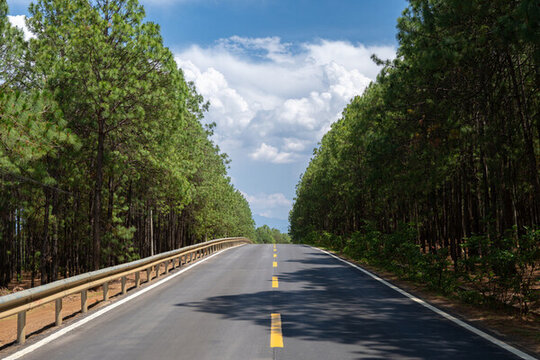 涼山木里林場波浪公路