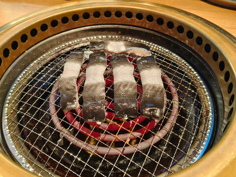 烤鰻魚(yú)