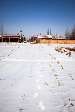 農(nóng)村雪景
