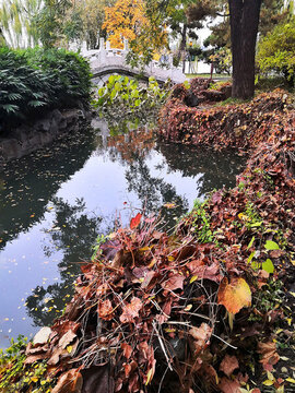 秋景