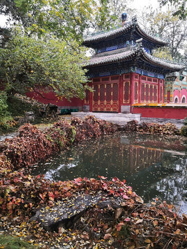 秋景