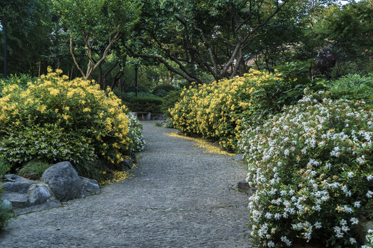常州東坡園