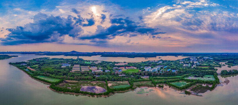 科學(xué)島