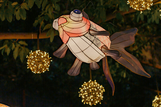 金魚燈籠