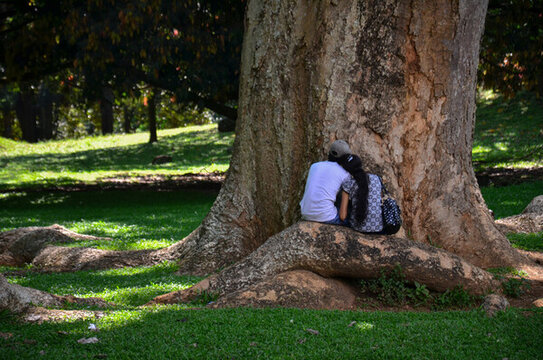 树下休息的情侣