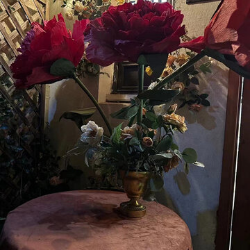 花朵牡丹