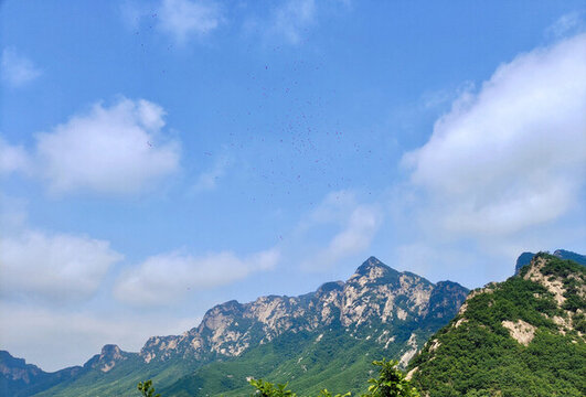 鳳凰山