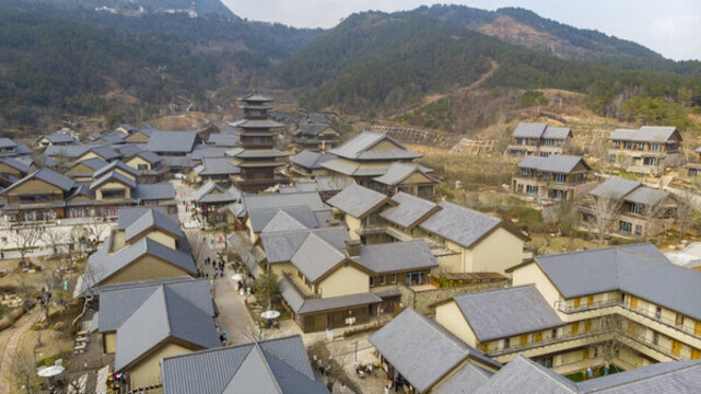 東山問梅村