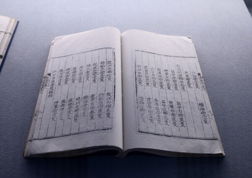 龍江船廠志