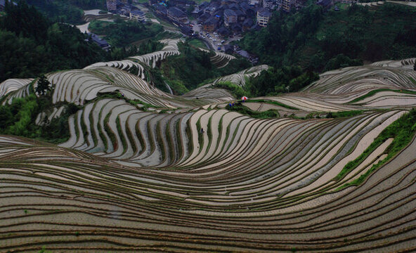 梯田