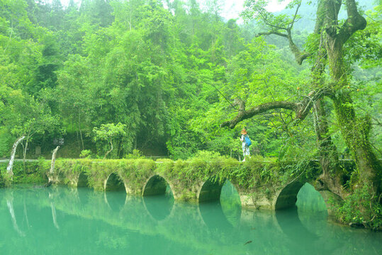 貴州荔波古橋小七孔橋