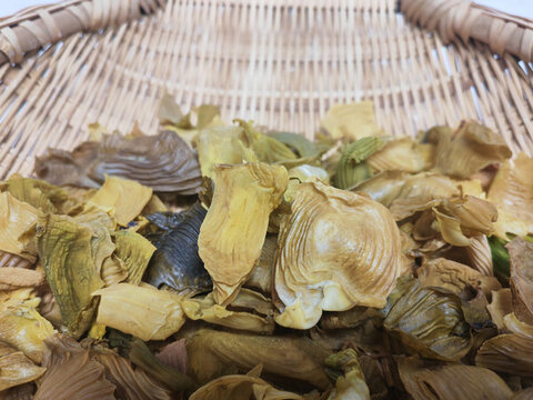 雞內(nèi)金