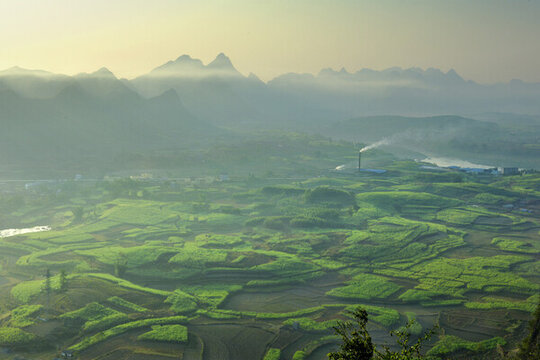 鄉(xiāng)村晨景