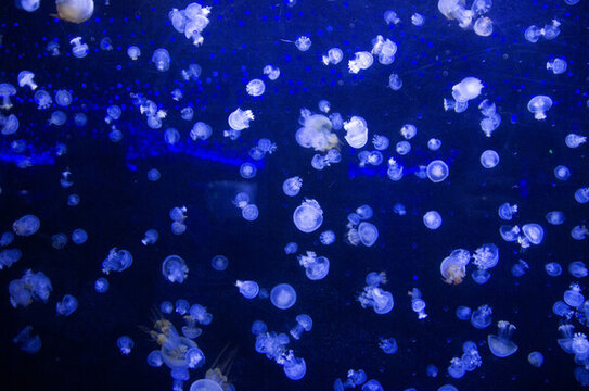 海底世界