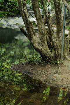 深圳馬巒山郊野公園