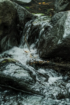 深圳馬巒山郊野公園溪流