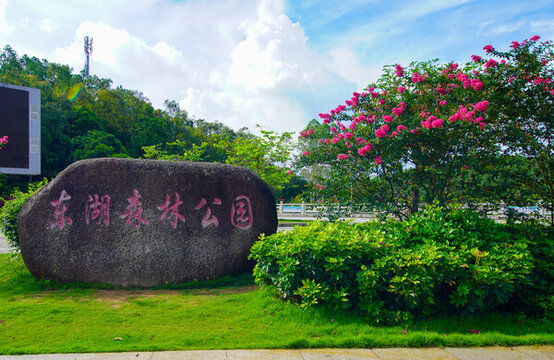 公園