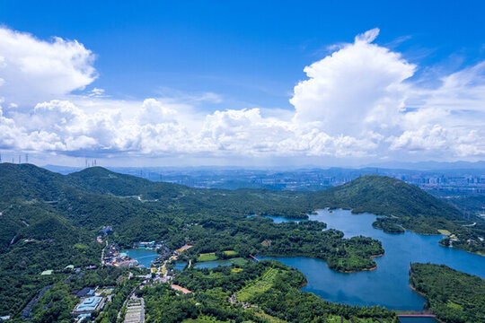 東部華僑城三洲田水庫