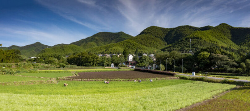 浙江湖州安吉余村青山綠水