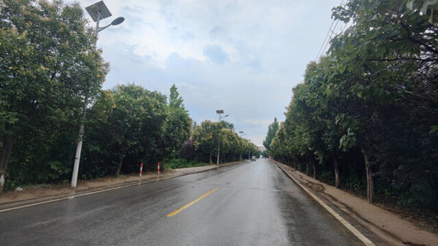 鄉(xiāng)村公路