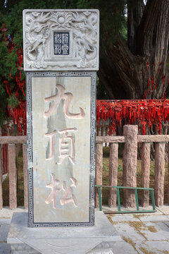 濟(jì)南九頂松石碑