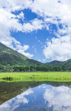 麗江文海秘境濕地