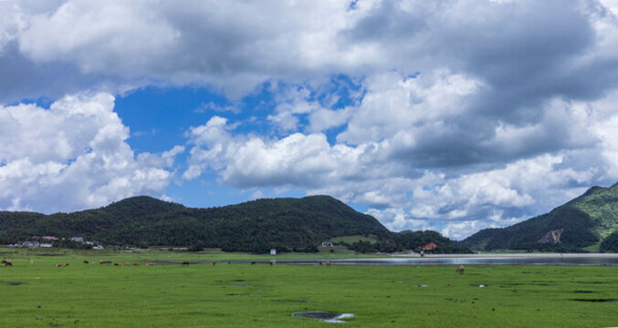 麗江文海秘境濕地