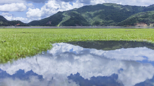 麗江文海秘境濕地