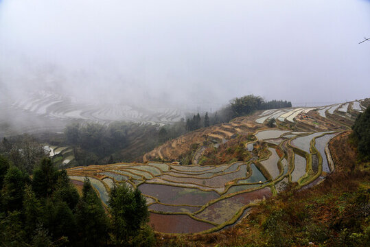 云南元陽(yáng)梯田