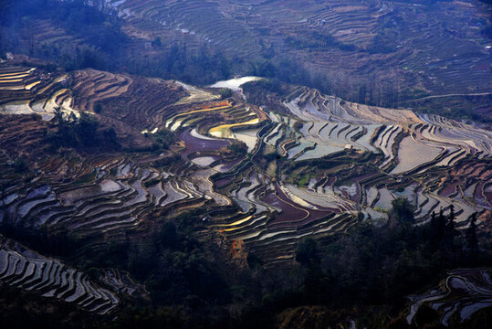 云南元陽(yáng)梯田